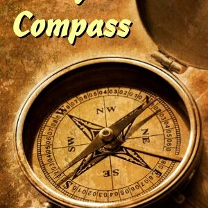 Crazy Compass (1 doz)